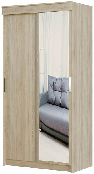 Шкаф-купе "Оптима" 120 (зеркало) - Вид 1