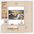 /catalog/dlya_doma/mebel-dlya-gostinoy/stenki/stenka-dlya-gostinoy-toivo-toy-gst-11-1436296227/ - фотография