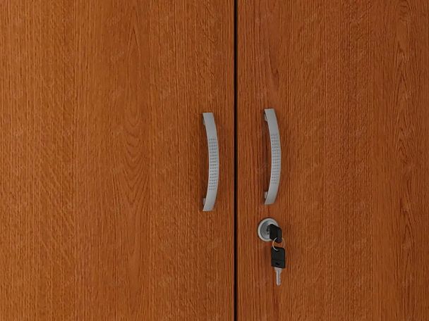 ЛАЙТ / LIGHT RLG044-70x55 Гардероб 70x55x183 Вишня - Вид 6