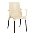 /catalog/novye-tovary/tetchair-new/stulya-plactikovye/stul-dzhenius-genius-s-podlokotnikom-863866480/ - фотография