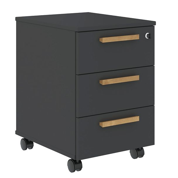 Тумба мобильная FMC-3D.A Черный графит 408х504х600 FORTA - Вид 1