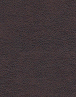 Dk.Brown