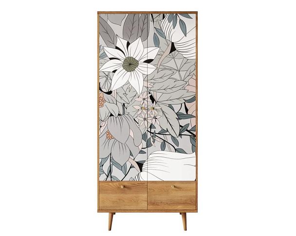 Шкаф двухстворчатый Berber принт 50 арт BB16/Print_50 - Вид 1