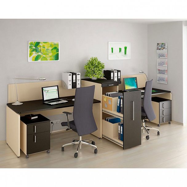 Шкаф с 2-я файлобоксами закрытый Аккорд 49H040 - Вид 8