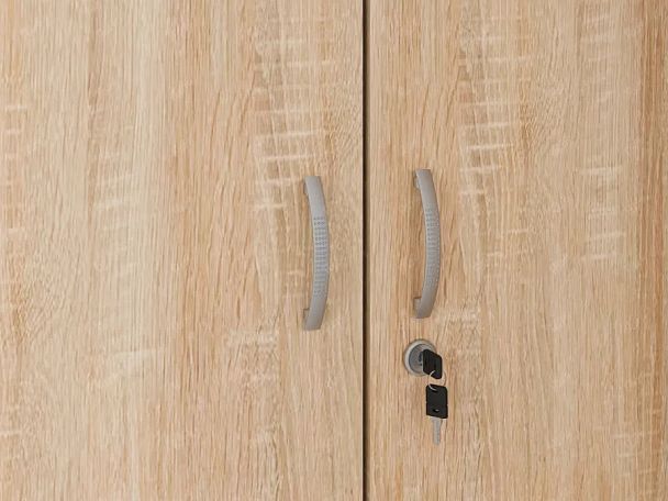 ЛАЙТ / LIGHT RLG042-70x35 Гардероб 70x35x183 Дуб Сонома - Вид 5