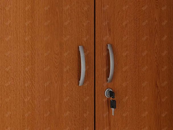 ЛАЙТ / LIGHT RLG043-70x55 Гардероб 70x55x183 Вишня - Вид 7