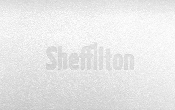 Стул Sheffilton SHT-ST29/S37 белый/белый - Вид 4