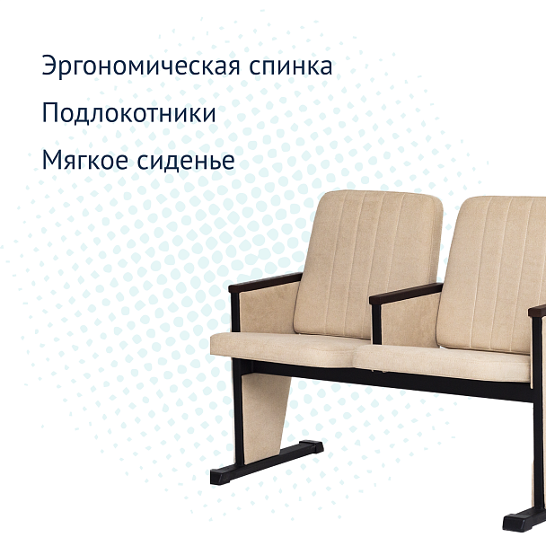 Секция театральная, двухместная - Вид 9