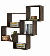 /catalog/novye-tovary/mebel/korpusnaya-mebel/polki-i-stellazhi/polka-knizhnaya-flesh-11-1078935416/ - фотография