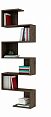 /catalog/novye-tovary/mebel/korpusnaya-mebel/polki-i-stellazhi/polka-knizhnaya-greys-3-1726559380/ - фотография