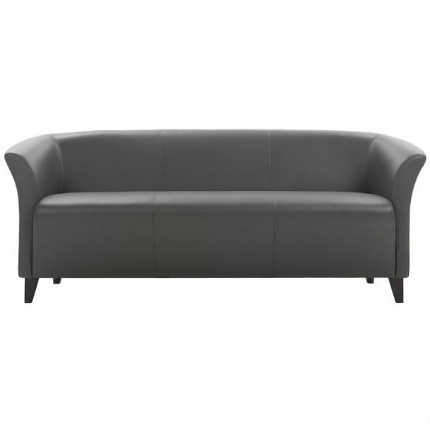 Диван "Модус С-23/3" 3-х местный - Вид 1