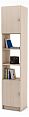 /catalog/novye-tovary/mebel/korpusnaya-mebel/stellazhi-i-polki/stellazh-kombinirovannyy-boston-5-125893434/ - фотография