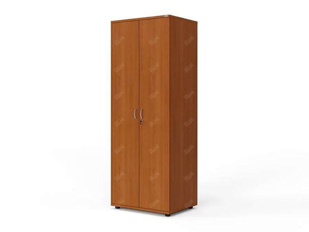 ЛАЙТ / LIGHT RLG043-70x55 Гардероб 70x55x183 Вишня - Вид 1