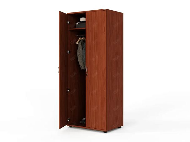 ЛАЙТ / LIGHT RLG044-70x55 Гардероб 70x55x183 Орех Итальянский - Вид 5