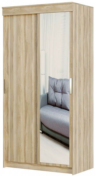 Шкаф-купе "Оптима" 120 (зеркало) - Вид 5