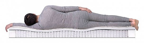 Матрас полутораспальный Eco Holl S-1000 2000x1200 - Вид 3