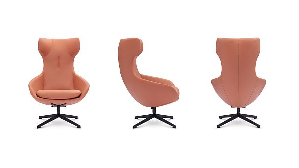 Кресло Enigma (Enigma art.D100) - Вид 4