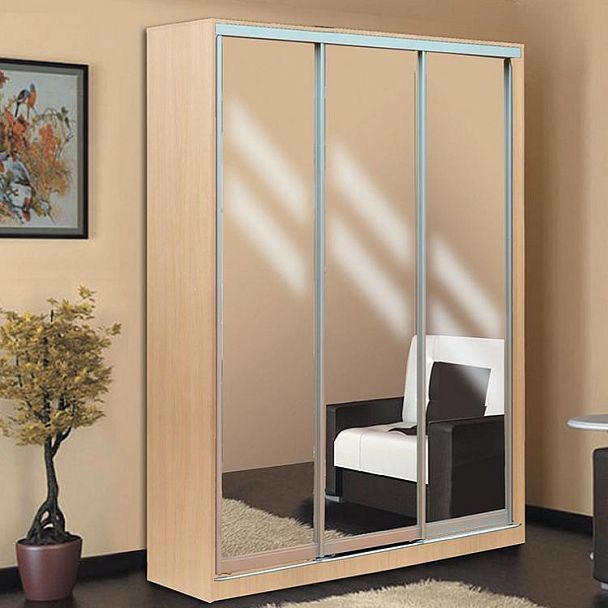 Шкаф-купе "Мираж-20" 460 - Вид 2