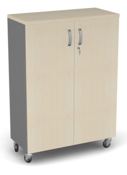 Стеллаж широкий закрытый на колесах ДВП Берлин Береза Майнау/Серый ШЗ31-90 з/с ДВП - Вид 1