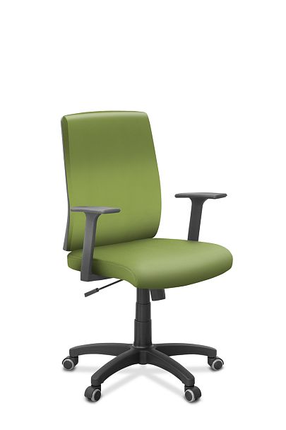 Кресло Alfa A/MK/T23  6102.93 - Вид 1