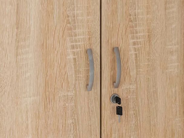 UNITY РШ-10 ДУБ СОНОМА Закрытый шкаф Прямой 800x550x1966 - Вид 6