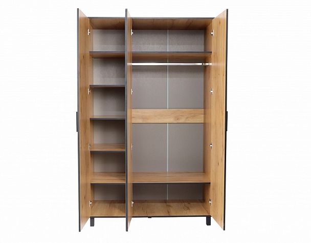 Шкаф платяной Лофт-3 - Вид 3