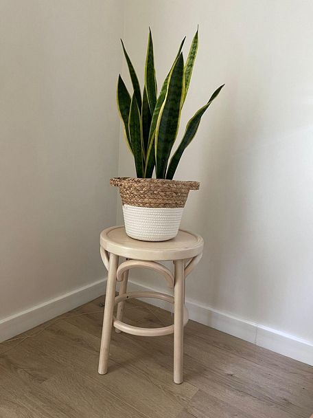 Венский табурет твердый 450 - Вид 4