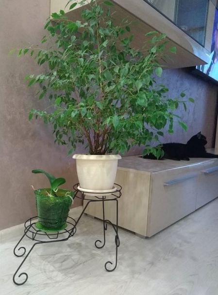 Подцветочница Sheffilton Мелодия черный - Вид 3