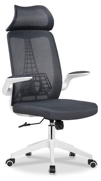 Кресло компьютерное Lokus - Вид 1