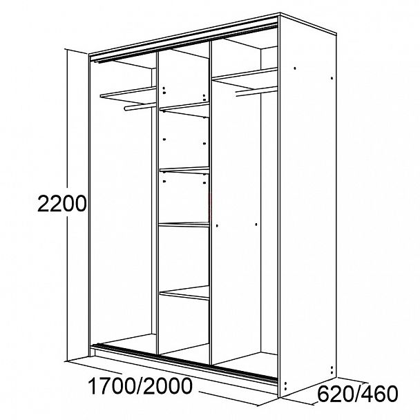 Шкаф-купе "Мираж 20.2" 460 - Вид 5