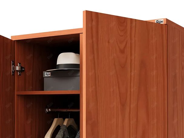 ЛАЙТ / LIGHT RLG044-70x55 Гардероб 70x55x183 Орех Итальянский - Вид 6