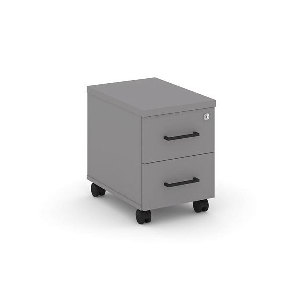 Стайл Проджект Тумба мобильная 2 ящика. Стандартные колеса. Задняя стенка ЛХДФ SN.TM-003 Серый Пепел - Вид 1
