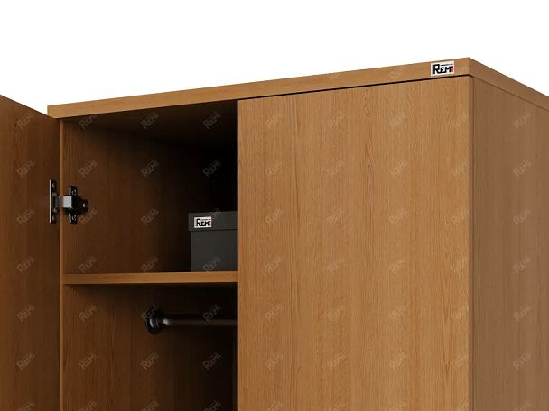 ЛАЙТ / LIGHT RLG043-70x55 Гардероб 70x55x183 Бук - Вид 7