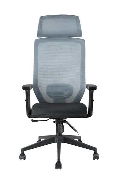Кресло Бронте / Bronte A755 Luxe Серый/Черный - Вид 2