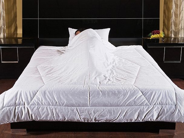 Одеяло евростандарт Feng-shui - Вид 1