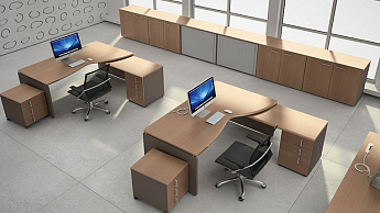 Картинка раздела - АККОРД / ACCORD персонал