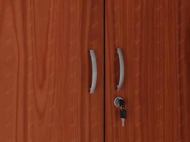 ЛАЙТ / LIGHT RLG044-70x55 Гардероб 70x55x183 Орех Итальянский - Вид 8