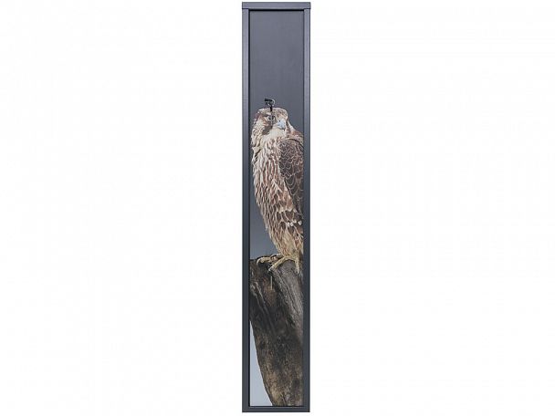 Оружейный сейф AIKO БЕРКУТ 3 Print - Вид 2