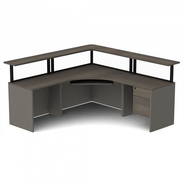 Ресепшн заказной №48 - Вид 2