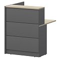 /catalog/novye-tovary/tekhno-new/resepshen-smart/grafit-kronberg/stoly-ldsp/modul-zavershayushchiy-vysokiy-pravyy-smr-22-8-grafit-kronberg-825x880x1155-resepshen-smart-243378989/ - фотография