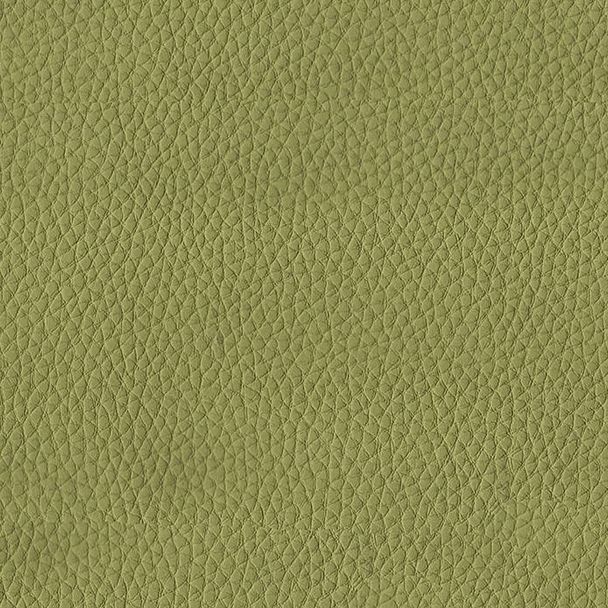 Диван мягкий двухместный "Хост" М-43, 1200х620х780 мм, без подлокотников, экокожа, светло-зеленый - Вид 5