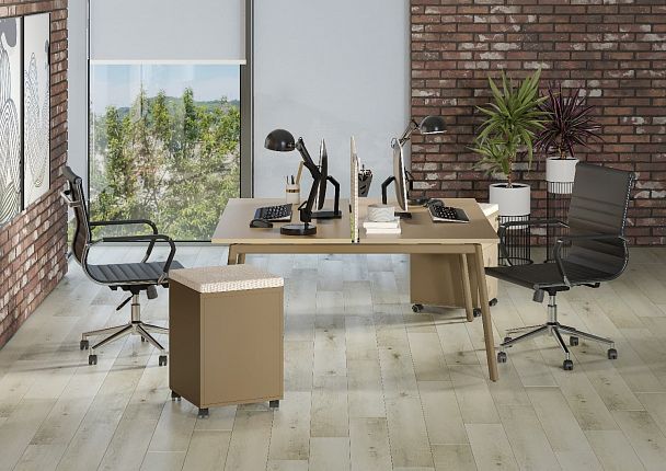 Рабочая станция на 2 места " ESTETICA" ES.D.RS-2.4-VP Сатин - Вид 3