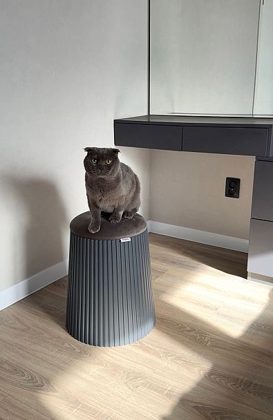 Пуф SHT-B23 темно серый/угольно серый - Вид 6