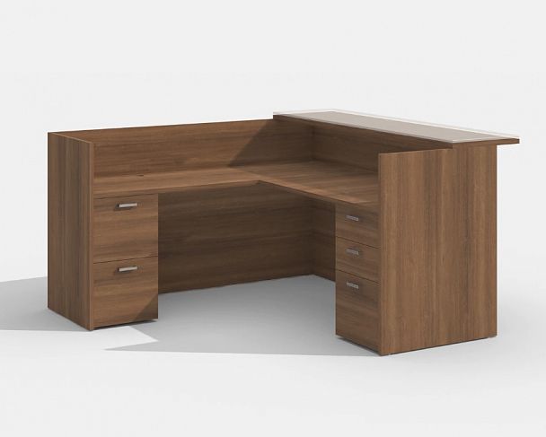 Ресепшн заказной №3 - Вид 1