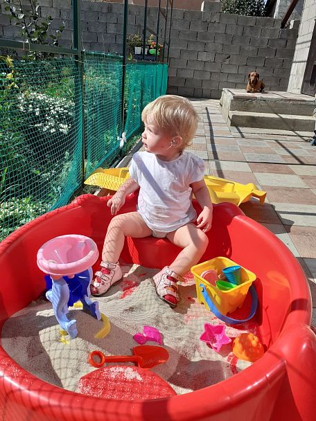 Песочница Sheffilton KIDS Собачка 373 красный - Вид 7