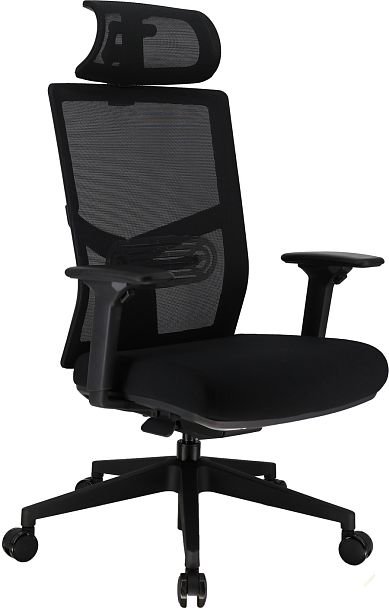 Эргономичное кресло Everprof Fuji (Фуджи) Сетка Черный - Вид 1