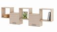 /catalog/novye-tovary/mebel/korpusnaya-mebel/polki-i-stellazhi/polka-kombinirovannaya-flesh-26-2125784801/ - фотография
