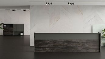 Картинка раздела - DALI reception