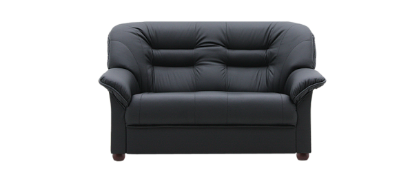 Диван "Премьер V-100/9" 2-х местный с подлокотниками - Вид 1