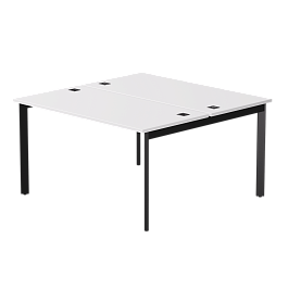 Бенч-система на 2 места Everprof EVO на металлокаркасе 1380х670(1370)x755 опоры 45гр Белый/Черный - Фото предпросмотра